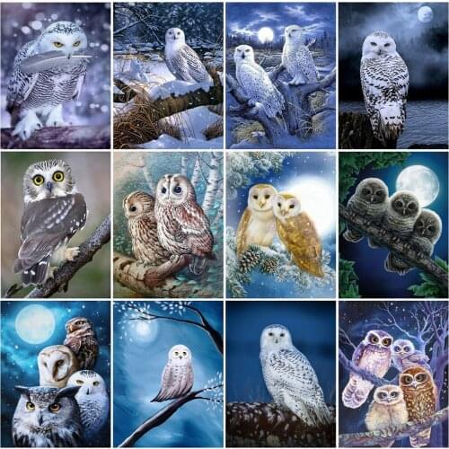 EverShine Diamond Embroidery Animals Cross Stitch Diamond Painting Full Square Owl Mosaic Picture Rhinestones Wall Art
