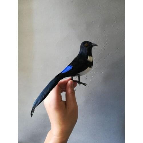 Real life toy feathers bird model about 22cm magpie bird home garden decoration prop decoration toy gift h1058