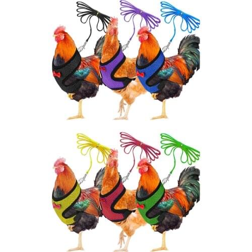 S/m/l/xl Size Chicken Hen With Matching Belt Comfortable Breathable Medium Chicken Belt Home Garden Home Pet Supplies 5G