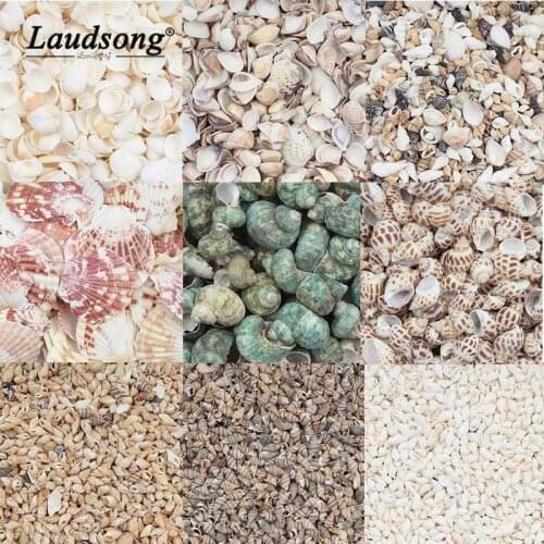 Variety Mix Natural Shell Beads Spacer Loose Pendant Wholesale For Jewelry Making DIY Handmade Craft Fish Tank Bonsai Decoration