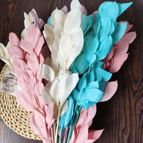 5PCS/30~40CM Natural Dried Preserved Lily Bamboo Flowers Bouquet,Eternelle Orange Leaves Branch,Home Decor,Wedding Decorations