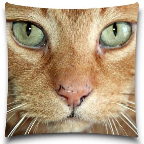 Cat Eye Pattern Throw Pillow Case as Wedding Christmas Gifts ,Black,5 size 9 style