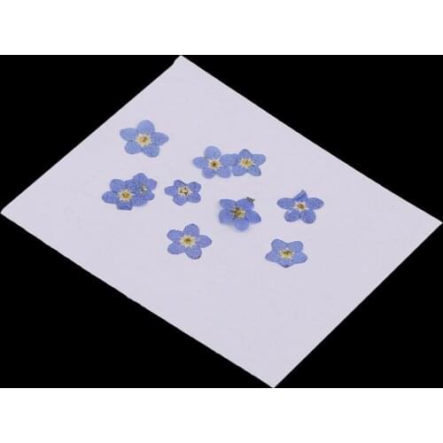 50 Pieces Mini Forget-Me-Not Real Dried Flower Embellishment for Resin Casting Phone Case Nail Art Decoration Blue