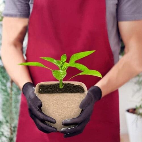 E7CB 100pcs Pulp Peat Pots Cups with 50pcs Plant Labels Markers Kit for Garden Seedling Tray Biodegradable Seeds Herbs