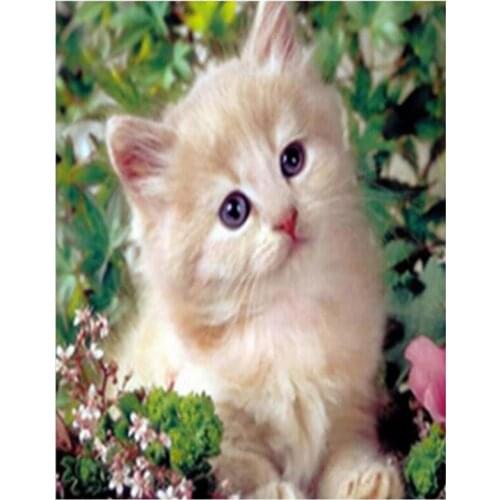 Full DIY 5D Cat Round Diamond Painting Cross Stitch Kit Home Furnishing Embroidery Decorative Wall Stickers Gift Mosaic FC850