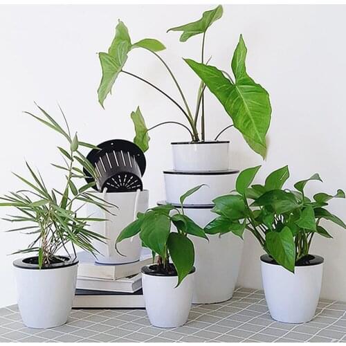 Water Culture Wall Hanging Basin Basket Plant Storage Holder Flower Pots Automatic Water Absorption Flower Pot Garden Derocation
