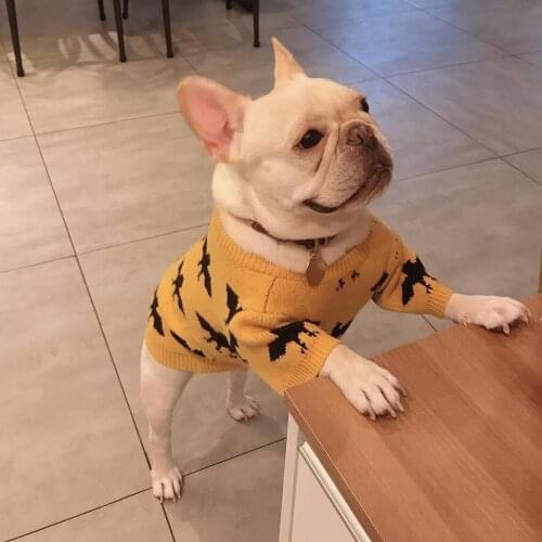 Katu Pet Sweater for Small Dogs Yellow Black Blue Cute Fashion Winter Clothes Letter Print Luxury French Bulldog Pug Clothing