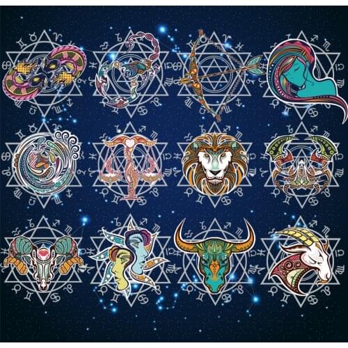 Prajna Twelve Constellations Iron on Patches for Clothing Sticker DIY Animal Stripes Patch Heat Transfer Applique for clothes