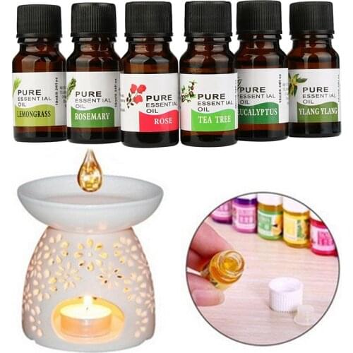 10ml Air Freshening Dropper Fragrance Humidifier Therapy 100% Pure Therapeutische Essential Oil Flower Fruit Relieve StressTSLM2