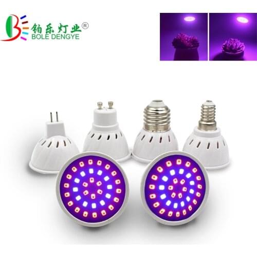 BOLEDENGYE Plant Lamps