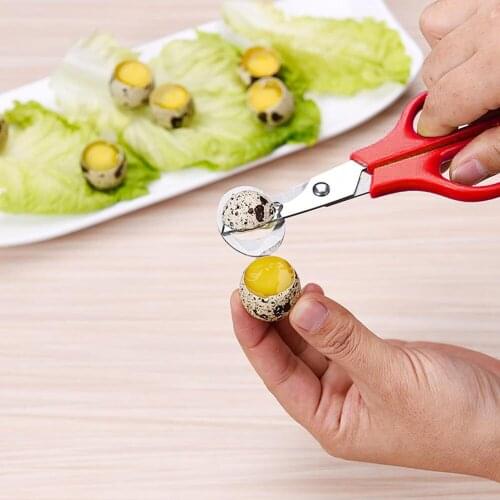 Quail Egg Scissors Stainless Steel Egg Cutters Cigar Opener Blade Clipper Cracker Tool for Home Kitchen Supplies