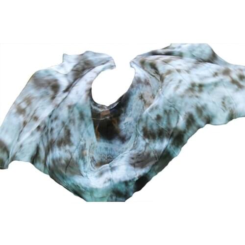 New Design 100% Silk Veil Belly Dance Veils Popular Gradient Color Hand Dyed Dance Accessories 5mm Belly Dance Silk Veil 5 Sizes