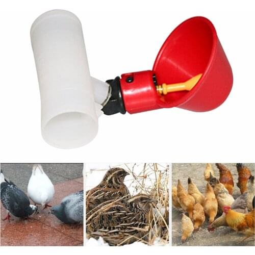 5PCS Chicken Drinker Automatic Chicken Drinker Cups Poultry Water Drinking Dispenser Water Drinker Tool For Bird Quail Pigeon
