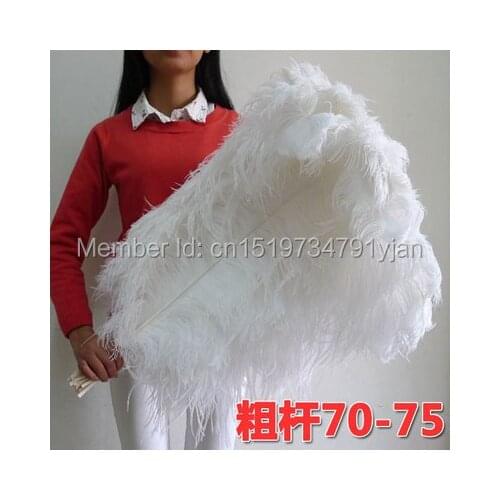 10 PCS natural white ostrich feather 70-75 cm / 28 to 30 inches feathers ostrich plume wedding decoration free shipping