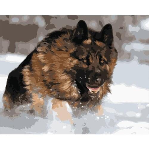 DIY Oil Painting By Numbers Animal Dog Home Decoration Acrylic Kids Paint Pictures By Numbers Cat Handpainted Gift