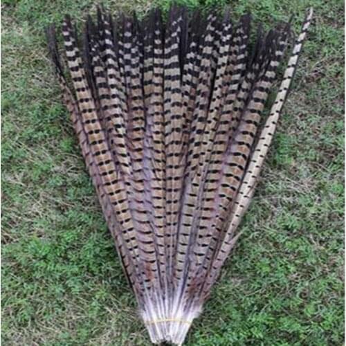 Pheasant feather wholesale 50 pcs natural color beautiful length 18 - 20 inch / 45 - 50 cm