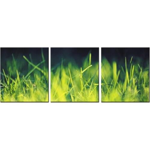 3 Piece Wall Art Canvas Prints Green Grasses Photo Printing Modern Art Oil Painting Home Wall Decoration Frame QJFJ3-46