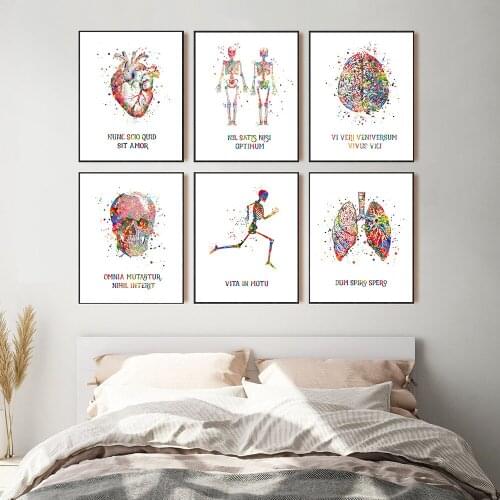 Human Medical Anatomy Vintage Posters and Print Heart Lungs Brain Latin Quote Wall Art Canvas Painting Doctor Gifts Room Decor