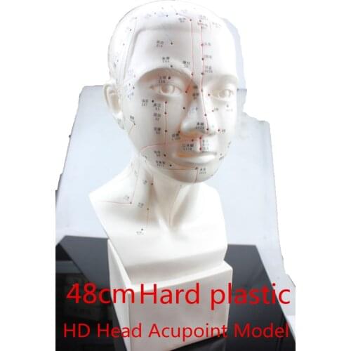 HD Head acupuncture model 48cm high definition face Facial Acupoint Acupuncture point model Head acupuncture teaching Hard model