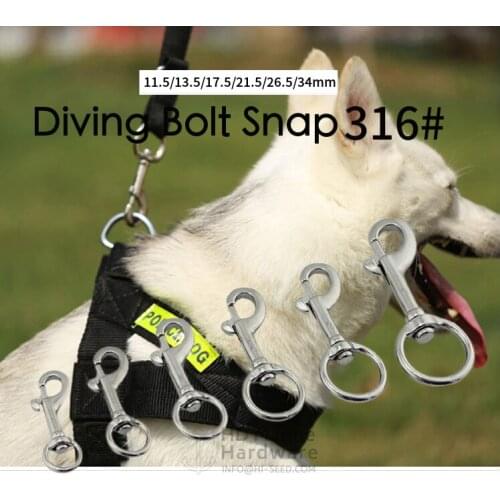 Dog collar buckle pet buckle