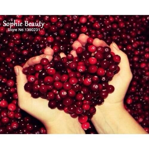 5D Diy Diamond Mosaic Painting Kit Cross Stitch Full Square Diamond Embroidery Needlework Heart Shape Fruit Room Decoration