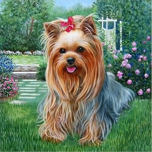 5D Diy Diamond Painting Cross Stitch Kits Full Diamond Embroidery Dog In Garden Needlework Diamond Mosaic Home Decor GLYP-304