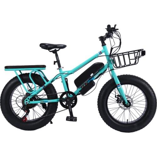 Kaimarte Electric Bicycles