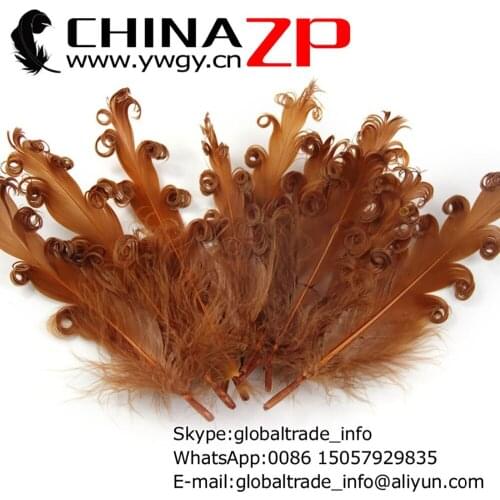 CHINAZP Factory 100pieces/color/lot Fantastic DIY Decoration Dyed Brown Curled Goose Satinettes Loose Feathers