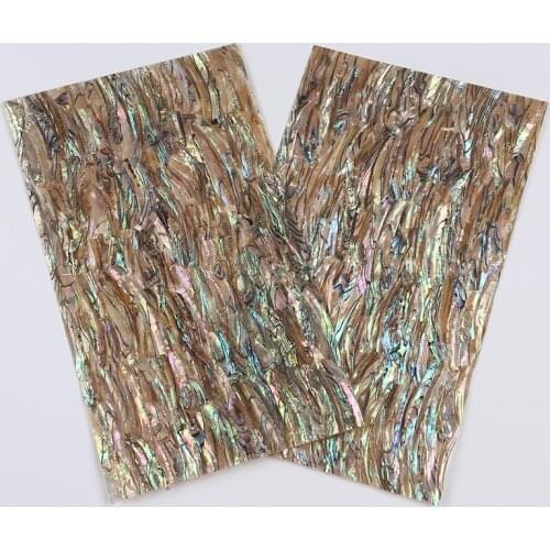 Natural Sea Shell Plate Unique Color Wallpaper Decoration ZLC050