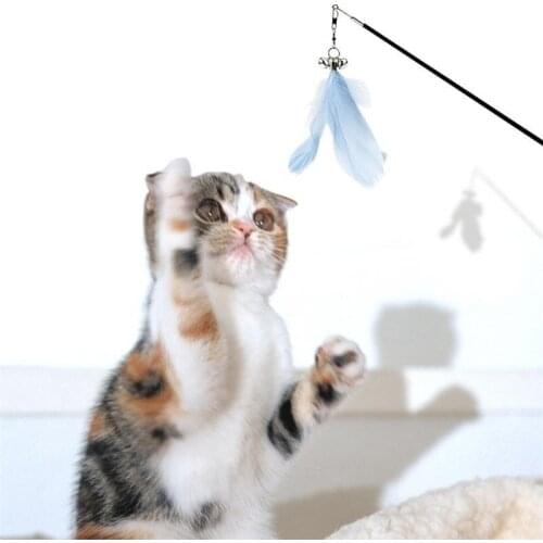 Pet Cat Feather Toys Scalable Cat Catcher Teaser Stick Interactive Toys With Wood Handle Cat Plastic Rod Toys Supplie