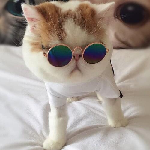 Pet Sunglasses Lovely Vintage Round Cat Sunglasses Reflection Eye Wear Glasses Pet Photo Prop Pet Cat Eye Protection Accessories