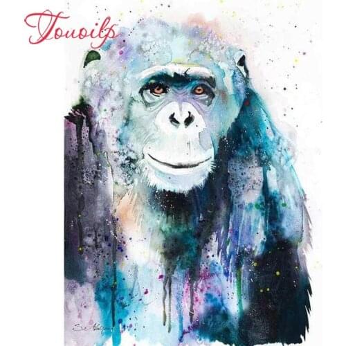 TOUOILP 5d Diy Koude Aap Diamond Painting Cross Stitch 5D Diamond Embroidery Diamond mosaic Pattern drawing Needlework