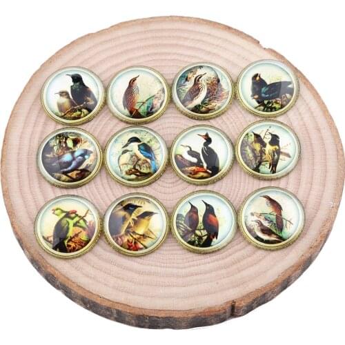 Onwear mix vintage bird photo round dome glass cabochon 58mm 30mm 25mm diy pocket mirror magnet pendant making accessories