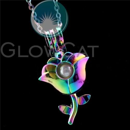 R-C847 Rainbow Color Rose Flower Beads Cage Pendant Essential Oil Diffuser Aroma Pearl Cage Locket Necklace