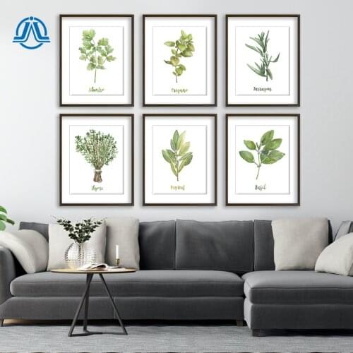 Watercolor Herb Collection Kitchen Wall Art Canvas Posters and Prints Decorative Cilantro Oregano Thyme Art Painting Pictures