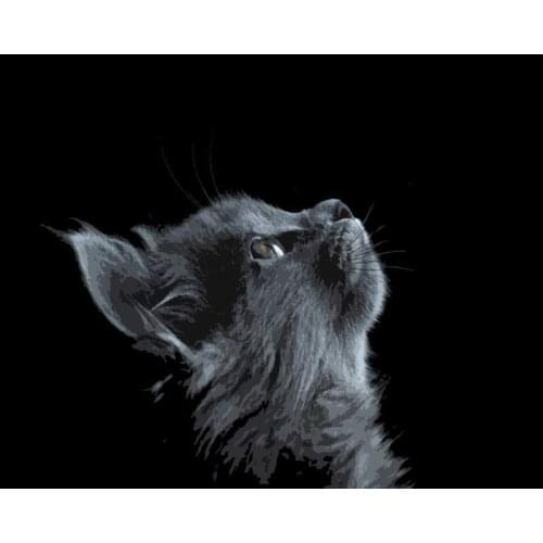 Cat Painting By Numbers Animal DIY Kits Acrylic Paint For Adults Canvas With Frame 40x50 Drawing Coloring By Number Decoration