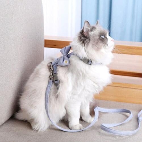 Jopet Pet Harnesses Fashion Cat Adjustable Harnesses Leashes Solid Color bowknot Breast-band Cat Release Pet Collar Pet Supplies