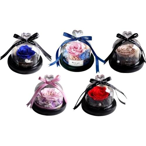 Preserved Rose Eternal Glass Dome Valentines Birthday Gift Eternal Flower