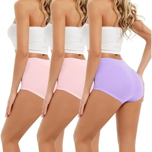 Sexy Panties Hot Sale High Quality Women High Waist Tummy Control Panties Underwear Shapewear Brief Panties For Dropshipping