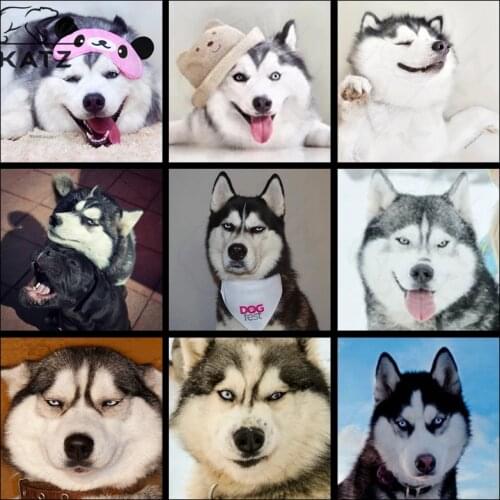 Diamond Painting Anime Animal Picture Embroidery Crosser Two Ha Funny Diy Mosaic Painting Art Decoration Adult Cross Stitch Kits