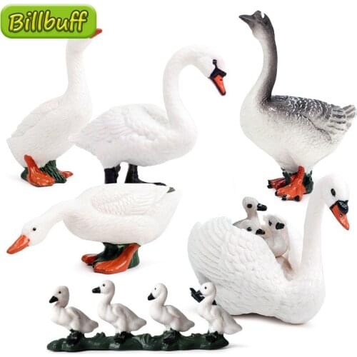 1Pcs DIY Simulation Farm Animals Swan Duck Model Action Figures Collection Miniature Cognition Educational Toy for children Gift
