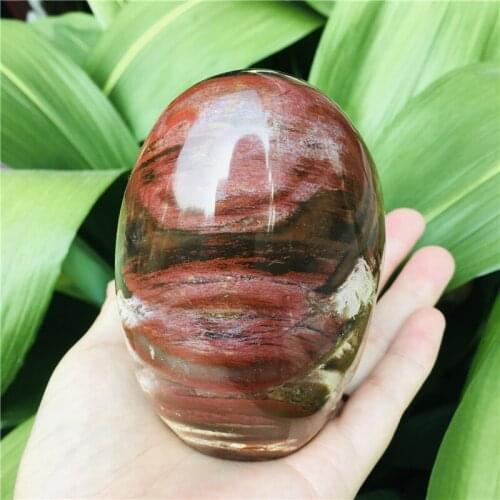 380-600g Natural Madagascan rosewood fossil tree fossil decoration