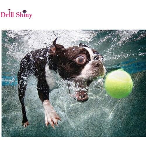 Diamond Embroidery 5D DIY Diamond Painting Dog Animal &ball Diamond Painting Cross Stitch Rhinestone Mosaic decoration gift