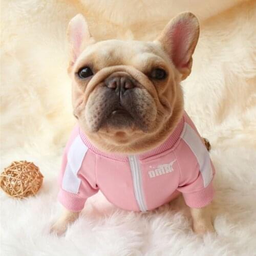 [MPK Dog Wear] Sports Sweater for Dogs, Dogs Clothes, Beautiful Design, 3 Colors Available