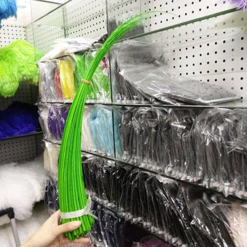 Wholesale Beautiful Gorgeous 10 pcs Fruit Green Ostrich feathers spine 16-20inch/40-50cm diy holiday party supplies