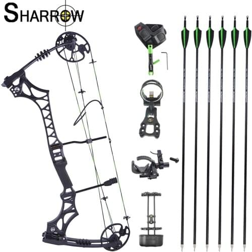1set Archery Compound Bow 30-70lbs Adjustable Magnesium Alloy Hunting Bow 320fps Adult Bow Outdoor Shooting Target Practice