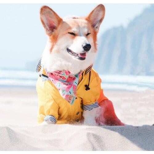 Pets Dog Rain Coat Waterproof Yellow Dog Raincoat for French Bulldog Retro Puppy Clothes Pet Outfit Clothing Jacket ropa perro