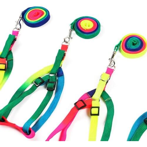 HobbyLane Colorful Adjustable Small Pet Nylon Leash Strap Traction Rope for Puppy, Rainbow Dogs Chest Strap Traction Chain