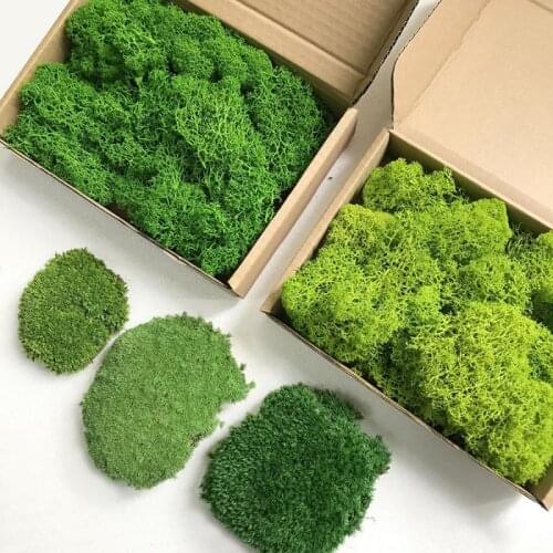 20G High Quality Dry Moss Artificial Green Plant Immortal Fake Flower Moss Grass Home Room Decorative Wall DIY Mini Accessories
