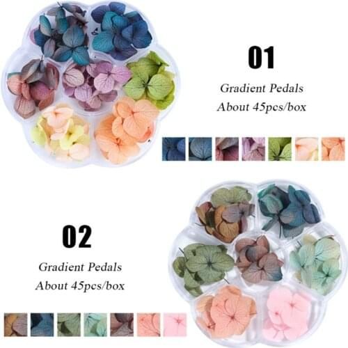 Dried Flowers DIY Epoxy Resin Handmade Crafts Filling Materials
